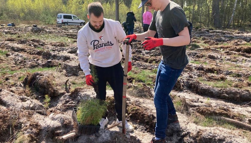 Uczestnicy poprzedniej edycji Festiwalu Wolontaryjnego.