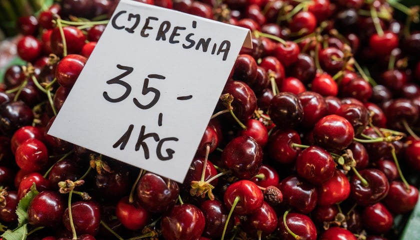 <p>Cena czereśni na stoisku w Hali Targowej</p>