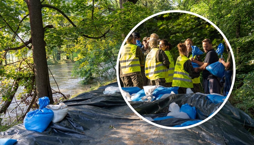 Układanie wałów przeciwpowodziowych na rzece Bystrzyca we Wrocławiu, w kółku kobiety i mężczyźni w kamizelkach z napisem Wojska Obrony Terytorialnej