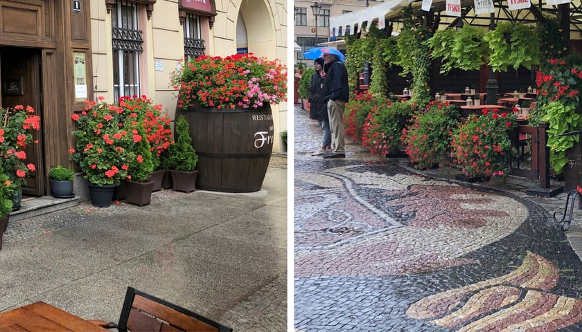 Czerwone kwiaty i zieleń, restauracyjne ogródki we Wrocławiu 