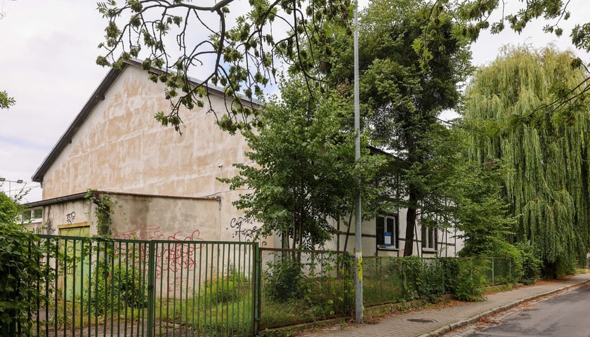 Nieczynna hala przy Krępickiej i drzewa koło niej, lipiec 2025
