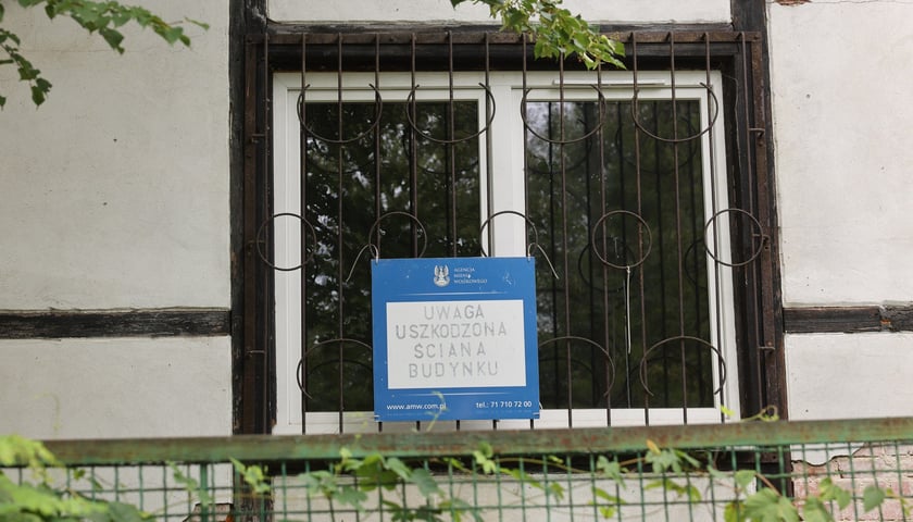 Nieczynna hala przy Krępickiej i drzewa koło niej, lipiec 2025