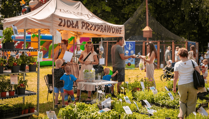 Targ Rolny na ul. Zwycięskiej we Wrocławiu w 2025 r.