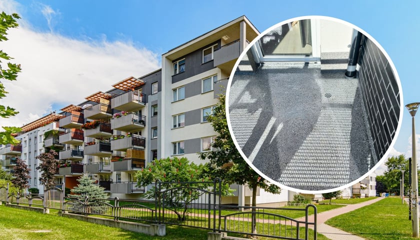 Osiedle TBS Wrocław, blok, zieleń, plac zabaw, w tle remont balkonów