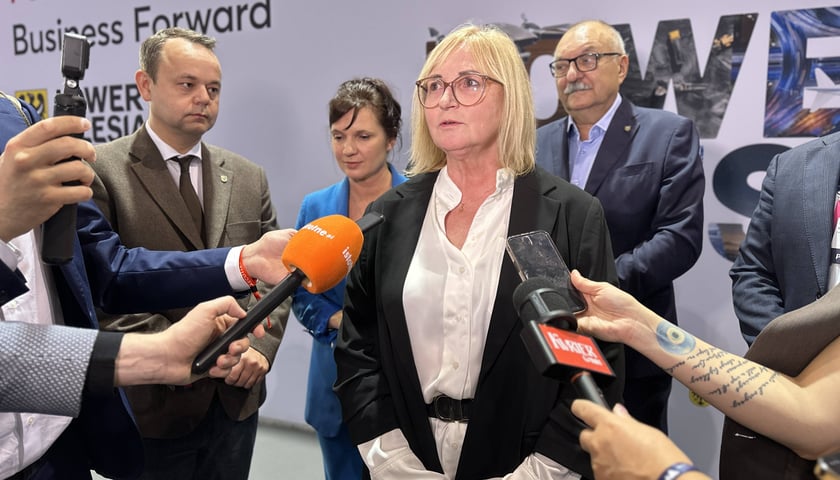 <p>Alina Szełemej</p>