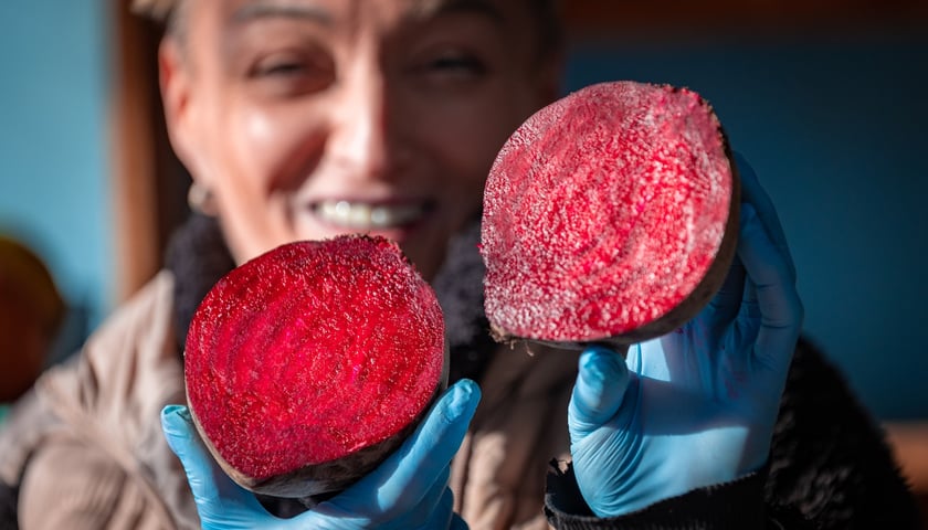 Sprzedaż buraków na wrocławskich targowiskach.