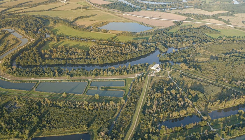 Tereny wodonośne Wrocławia z lotu ptaka. Łącznie zajmują 1026 hektarów w południowo-wschodnim Wrocławiu.
