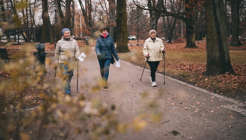 Mikrogranty 2021, projekt "Seniorze, orientuj się". Na zdjęciu trzy seniorki spacerujące po parku