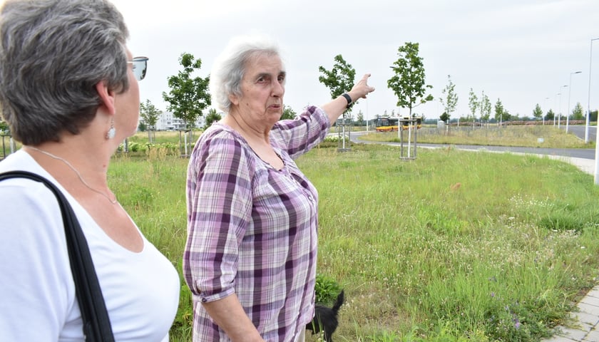 Powiększ obraz: <p>Konsultacje społeczne w sprawie koncepcji nowego parku na Lipie Piotrowskiej (20.06.2024)</p>