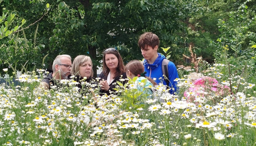 Powiększ obraz: <p>Mikrolas Miyawaki. Wizyta studyjna we Wrocławiu w ramach projektu GreenPlace.</p>