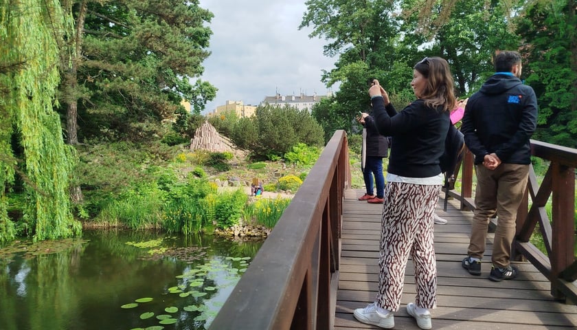 Powiększ obraz: <p>Wizyta w Ogrodzie Botanicznym. Wizyta studyjna we Wrocławiu w ramach projektu GreenPlace.</p>