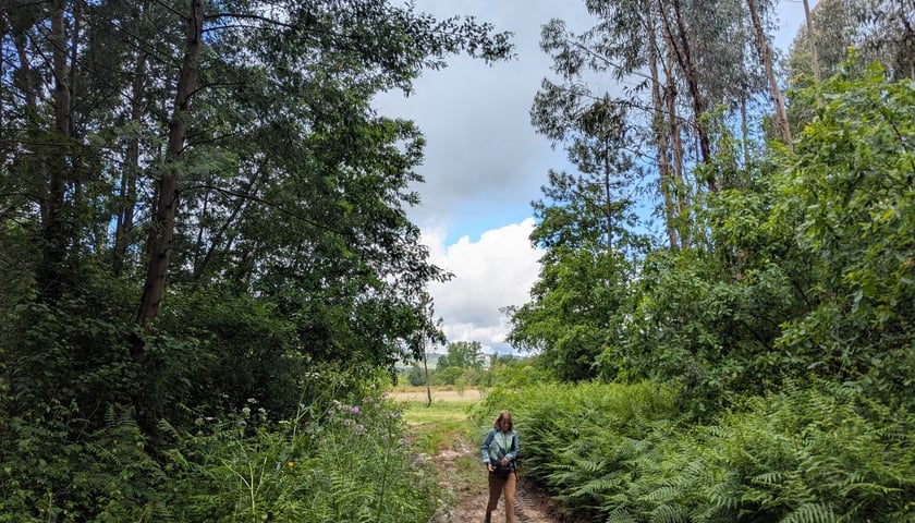 Powiększ obraz: <p>Green Zone w Vila Nova de Poiares. VI spotkanie ponadnarodowe sieci GreenPlace w Vila Nova de Poiares w Portugalii</p>