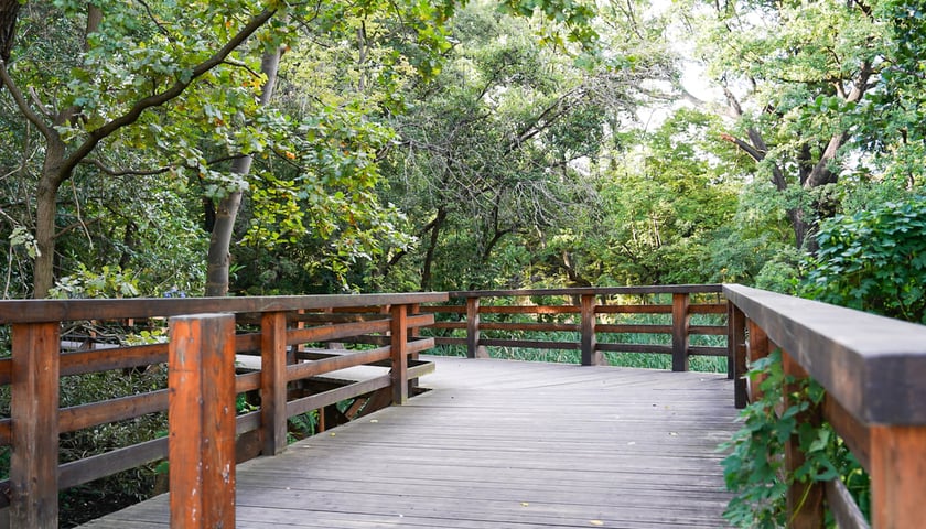 Powiększ obraz: Swojczycki Park Czarna Woda