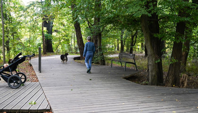 Powiększ obraz: Swojczycki Park Czarna Woda