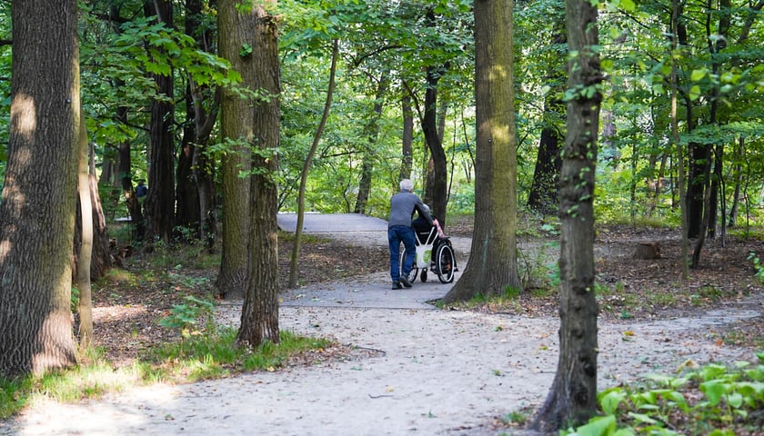 Powiększ obraz: Swojczycki Park Czarna Woda