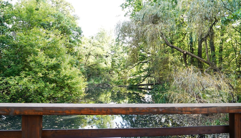 Powiększ obraz: Swojczycki Park Czarna Woda