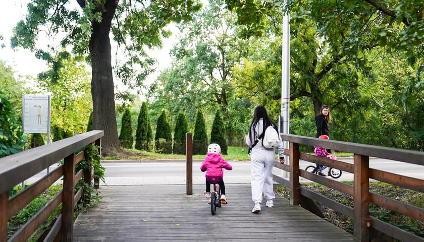 Powiększ obraz: Swojczycki Park Czarna Woda