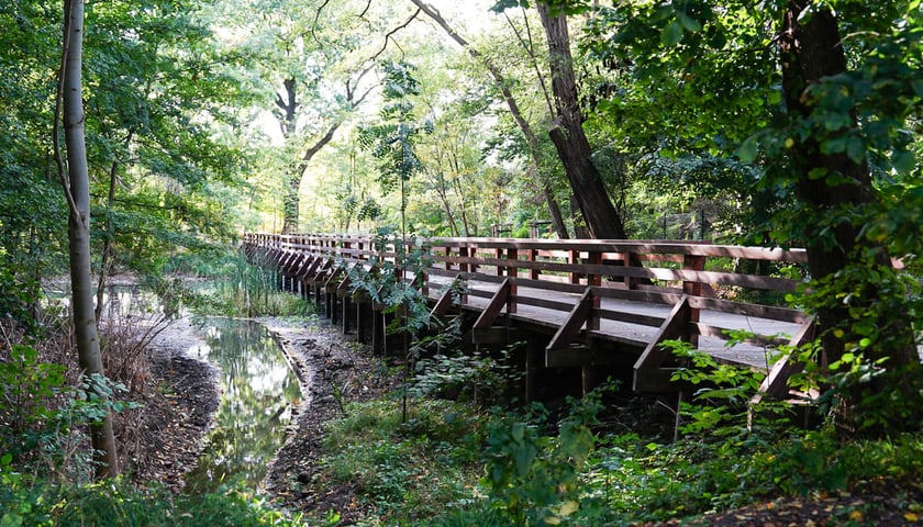 Powiększ obraz: Swojczycki Park Czarna Woda