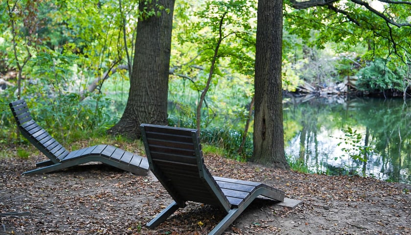 Powiększ obraz: Swojczycki Park Czarna Woda