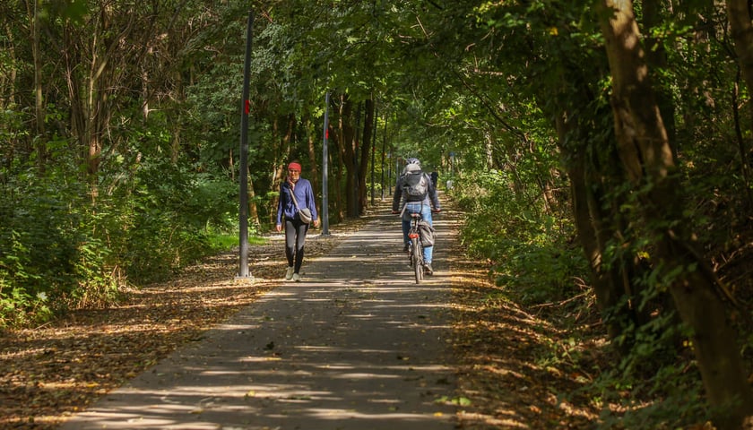 Powiększ obraz: Promenada Krzycka, wrzesień 2025