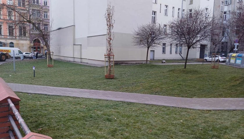 skwer przy Mezonetowcu u zbiegu ulic Rejtana i Kołłątaja