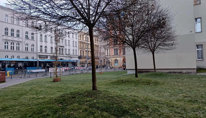 skwer przy Mezonetowcu u zbiegu ulic Rejtana i Kołłątaja