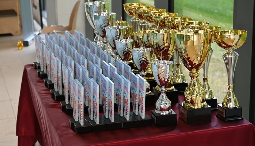 Powiększ obraz: <p>Statuetki i puchary Swim Manii 2026,.</p>