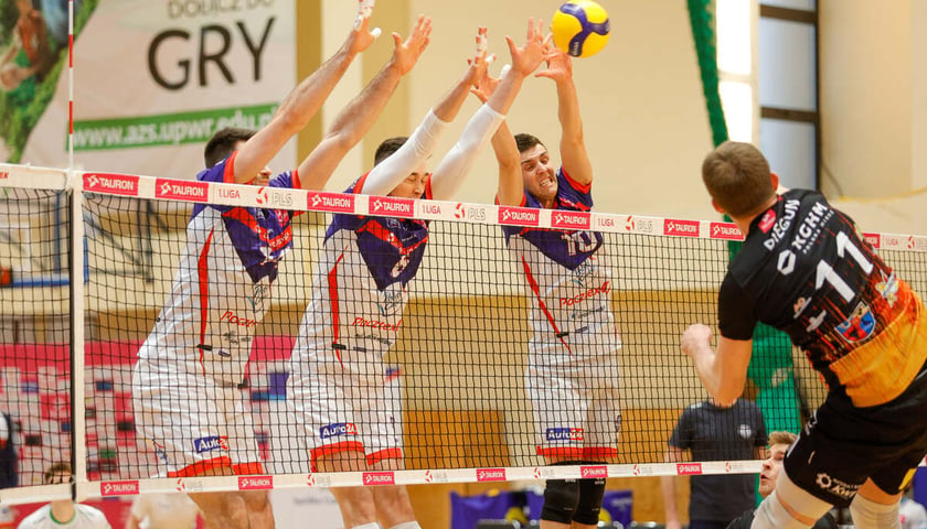 Powiększ obraz: Siatkarze Gwardii gładko ograli zespół z Głogowa