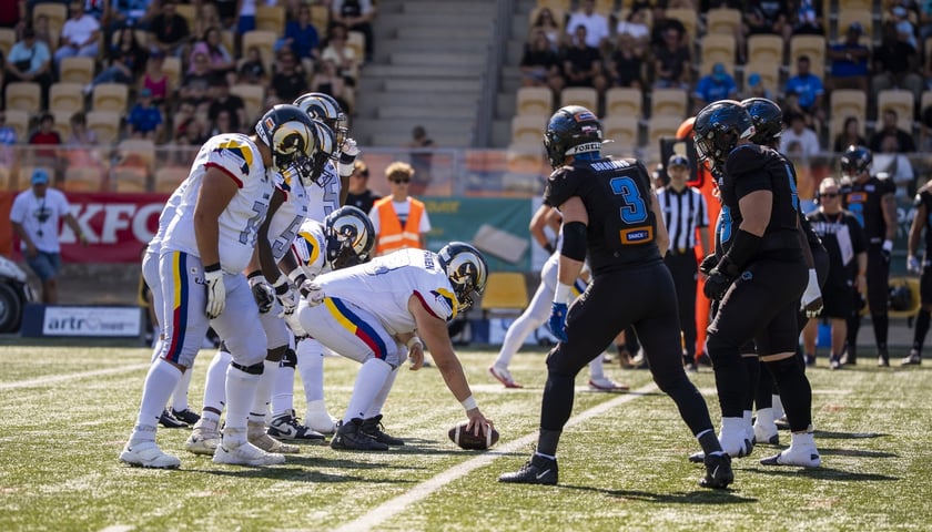 Powiększ obraz: Mecz Panthers Wrocław vs Alpine Rams - 25.07.2026 r.