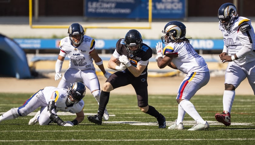 Powiększ obraz: Mecz Panthers Wrocław vs Alpine Rams - 25.07.2026 r.