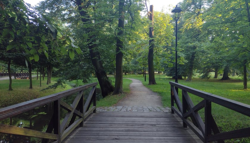 Park Brochowski