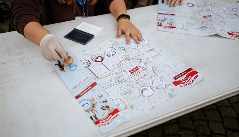 WrocWalk 2022 - zdjęcia uczestników