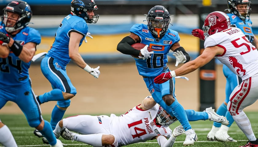 Powiększ obraz: zawodnicy Panthers Wrocław podczas meczu