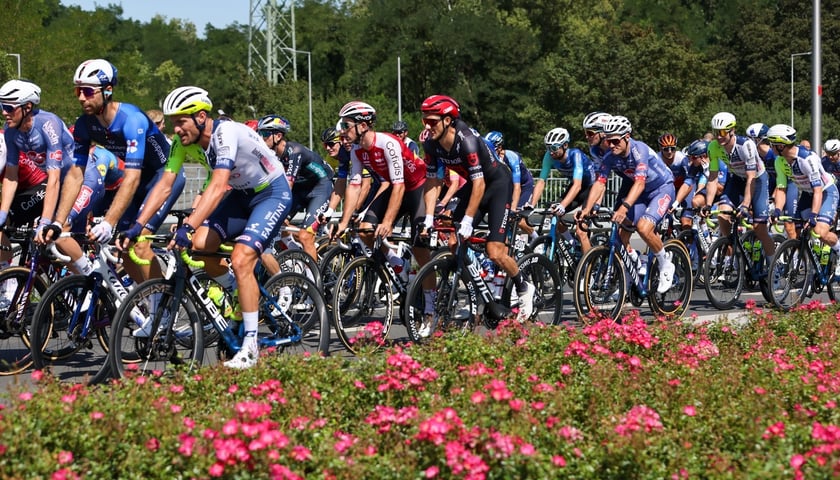 Start ostry 81. TdP (12.08.2024)