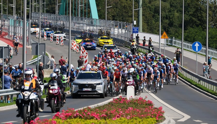 Powiększ obraz: <p>Start ostry 81. TdP (12.08.2024)</p>