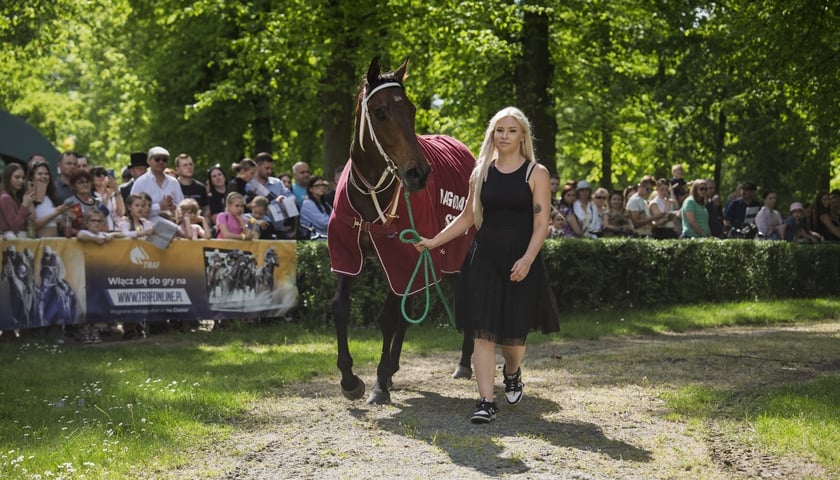 Powiększ obraz: <p>Na zdjęciach początek sezonu na Partynicach</p>