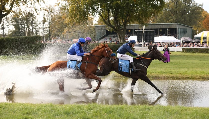 Powiększ obraz: <p>Crystal Cup na Partynicach. Zdjęcie archiwalne z 2024 roku</p>