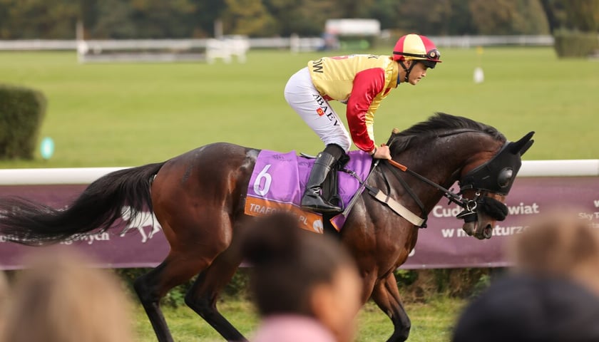 Powiększ obraz: <p>Crystal Cup na Partynicach. Zdjęcie archiwalne z 2024 roku</p>