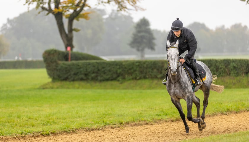 Paweł Pałczyński i Jadmir przygotowujący się do Crystal Cup
