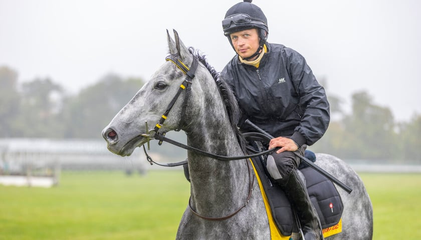 Paweł Pałczyński i Jadmir przygotowujący się do Crystal Cup