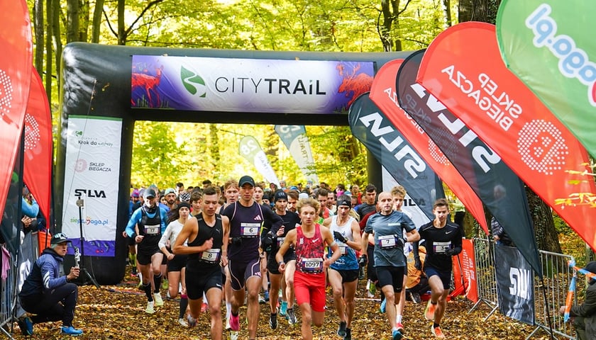 Bieg z cyklu City Trail w Lesie Osobowickim we Wrocławiu