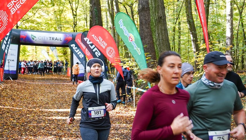 Bieg z cyklu City Trail w Lesie Osobowickim we Wrocławiu