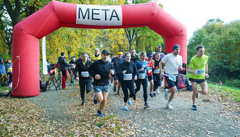 Powiększ obraz: Bieg Wielkiej Wyspy. Wrocław, 25.10.2025