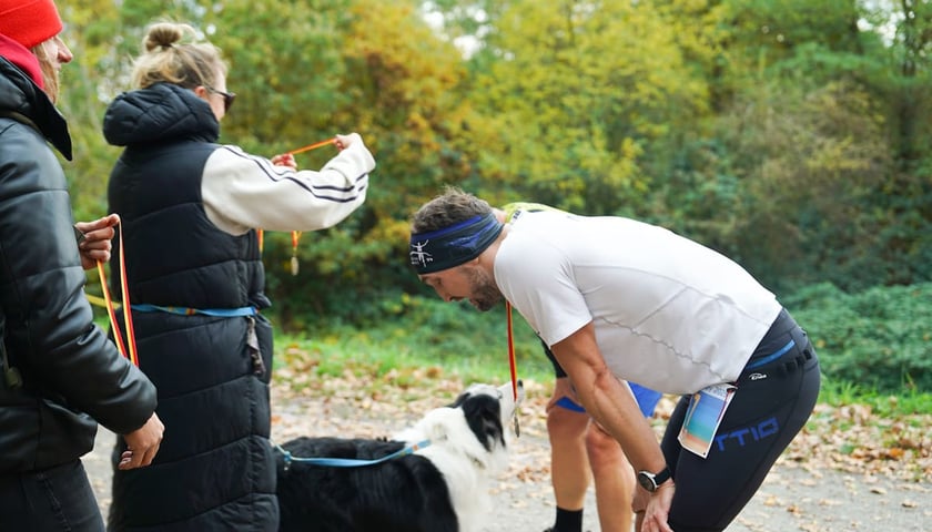 Powiększ obraz: Bieg Wielkiej Wyspy. Wrocław, 25.10.2025