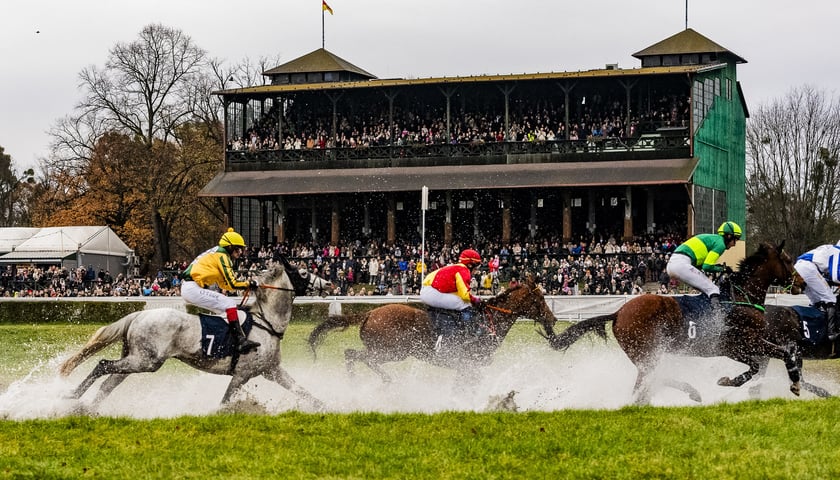 Ostatni dzień wyścigowy 11 listopada na wrocławskich Partynicach