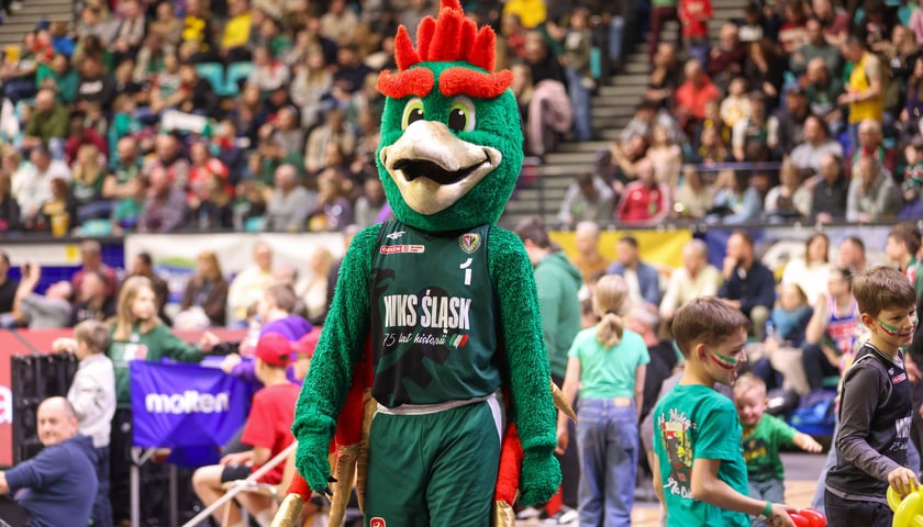 Powiększ obraz: Śląsk kontra Trefl, Hala Orbita, 24 stycznia 2026