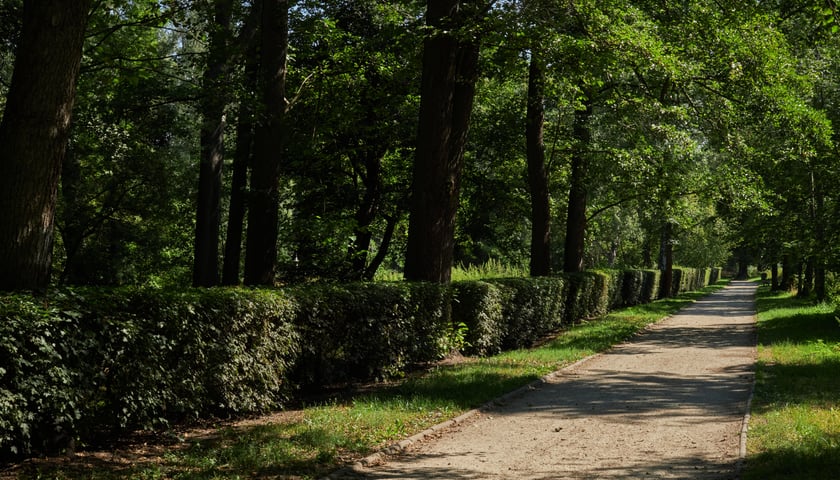 Powiększ obraz: Na zdjęciu Park Wschodni