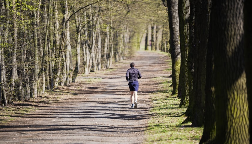 Powiększ obraz: Trasa biegowa wzdłuż Kanału Żeglugowego i Powodziowego między Mostami Chrobrego a Jagiellońskimi