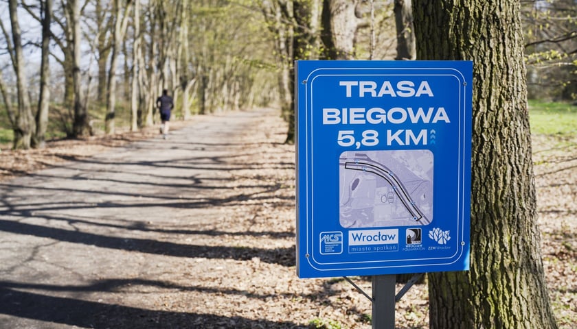 Powiększ obraz: Trasa biegowa wzdłuż Kanału Żeglugowego i Powodziowego między Mostami Chrobrego a Jagiellońskimi