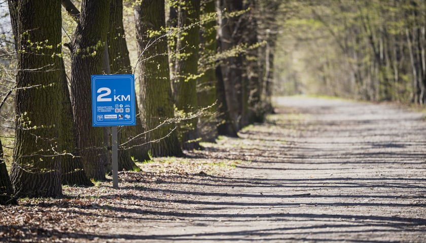 Powiększ obraz: Trasa biegowa wzdłuż Kanału Żeglugowego i Powodziowego między Mostami Chrobrego a Jagiellońskimi